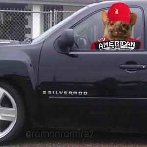 Meet your Posher, Richard